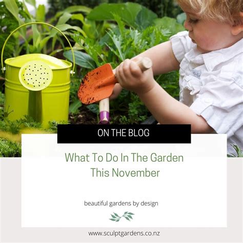 November In The Garden, All The Advice